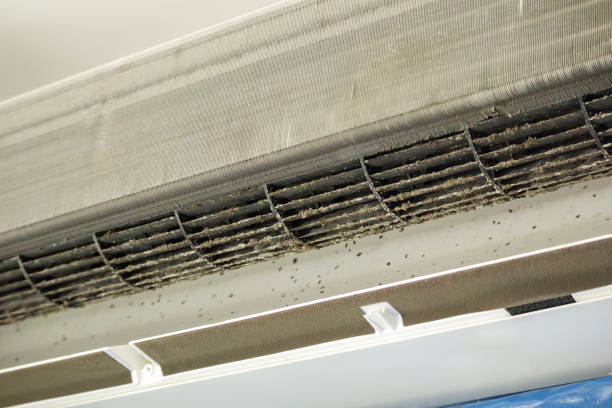 Best Ventilation System Cleaning in Roanoke Rapids, NC