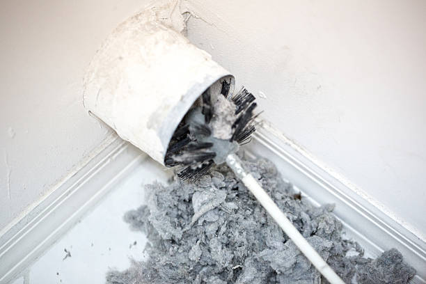 Best Residential Air Duct Cleaning in Roanoke Rapids, NC